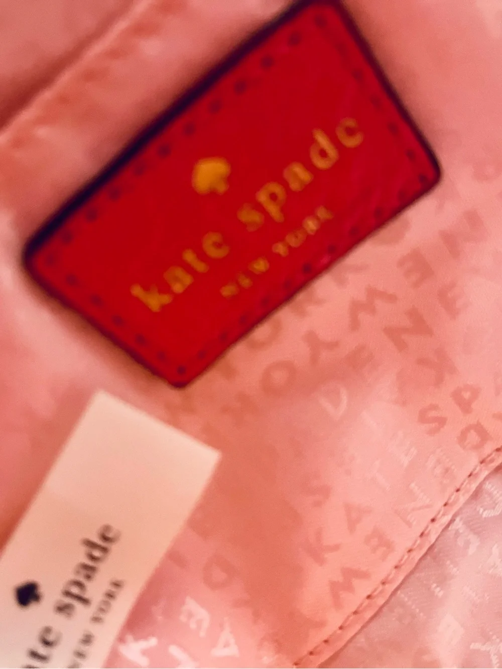 Kate Spade New York Perri Lane Looloo Pink Leather Laser Cut Crossbody Bag EUC